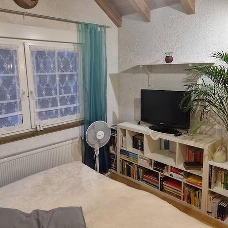 Gemuetliche Dachgeschosswohnung Erfurt Exterior foto