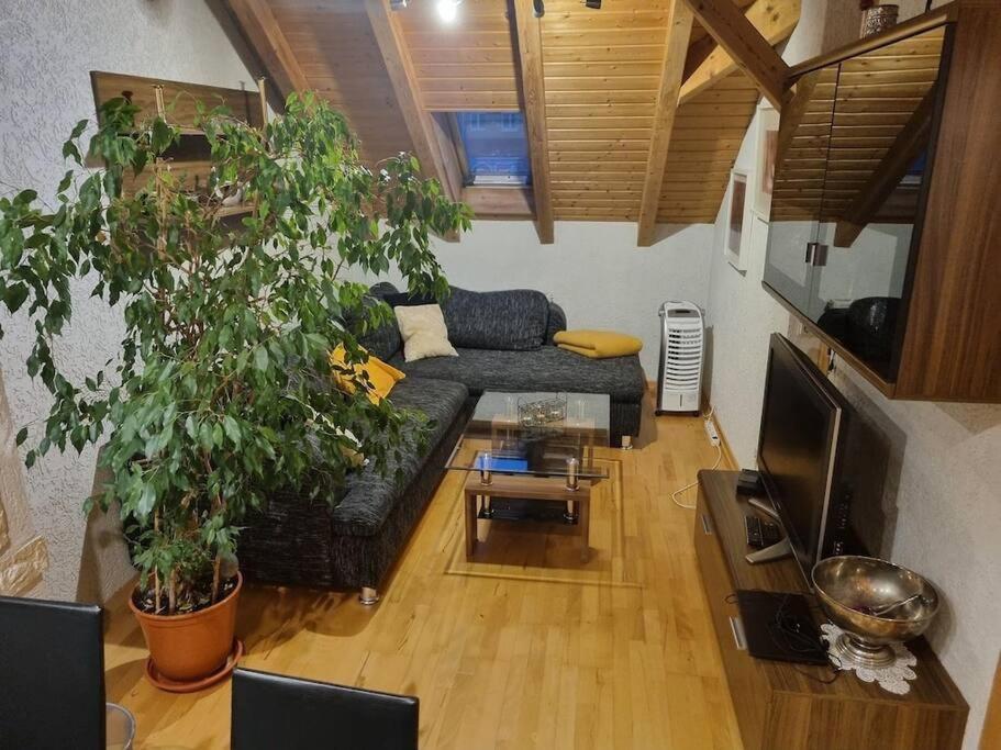 Gemuetliche Dachgeschosswohnung Erfurt Exterior foto