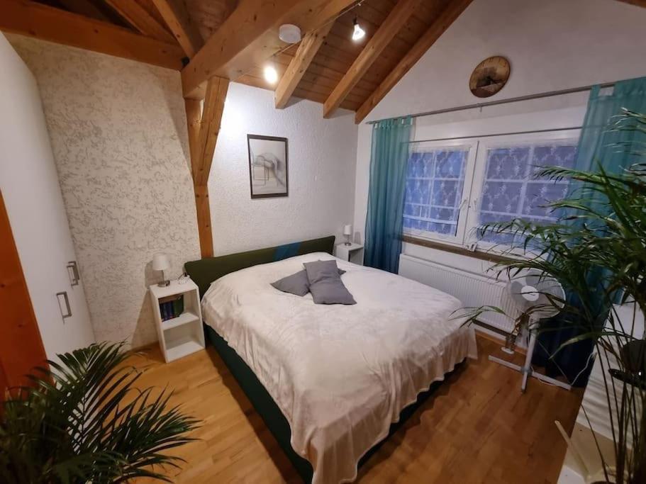 Gemuetliche Dachgeschosswohnung Erfurt Exterior foto
