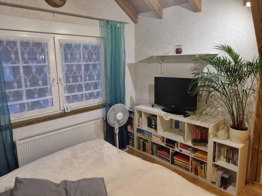 Gemuetliche Dachgeschosswohnung Erfurt Exterior foto